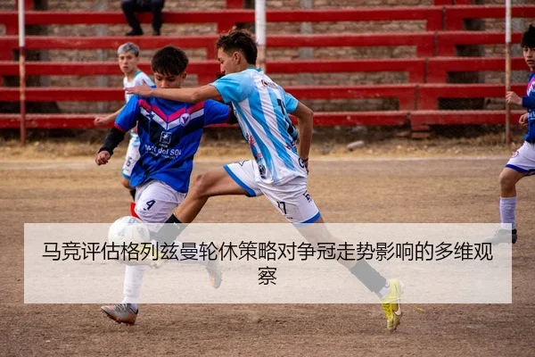ma-jing-ping-gu-ge-lie-zi-man-lun-xiu-ce-lve-dui-zheng-guan-zou-shi-ying-xiang-de-duo-wei-guan-cha-2-455.jpg