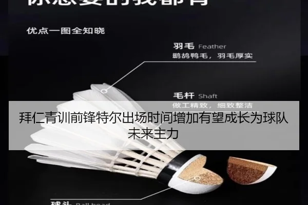 拜仁青训前锋特尔出场时间增加有望成长为球队未来主力